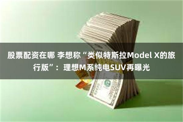 股票配资在哪 李想称“类似特斯拉Model X的旅行版”：理想M系纯电SUV再曝光