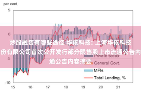 炒股融资有哪些途径 华依科技: 上海华依科技集团股份有限公司首次公开发行部分限售股上市流通公告内容摘要