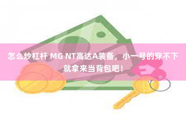 怎么炒杠杆 MG NT高达A装备，小一号的穿不下就拿来当背包吧！