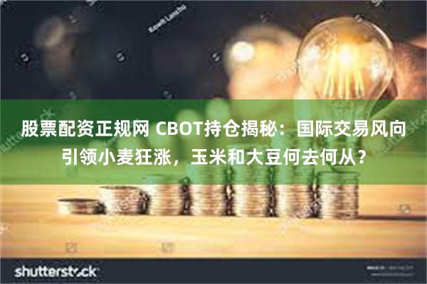 股票配资正规网 CBOT持仓揭秘：国际交易风向引领小麦狂涨，玉米和大豆何去何从？