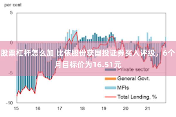 股票杠杆怎么加 比依股份获国投证券买入评级，6个月目标价为16.51元