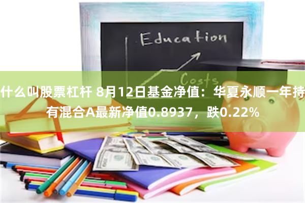 什么叫股票杠杆 8月12日基金净值：华夏永顺一年持有混合A最新净值0.8937，跌0.22%