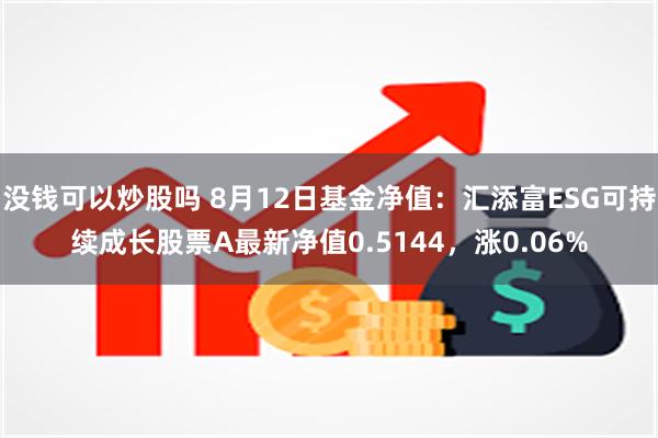 没钱可以炒股吗 8月12日基金净值：汇添富ESG可持续成长股票A最新净值0.5144，涨0.06%