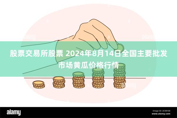 股票交易所股票 2024年8月14日全国主要批发市场黄瓜价格行情