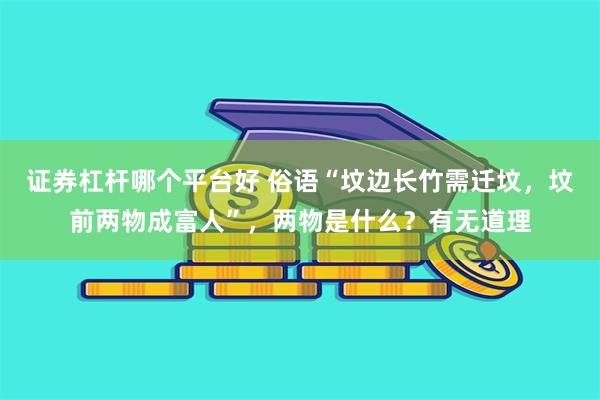 证券杠杆哪个平台好 俗语“坟边长竹需迁坟，坟前两物成富人”，两物是什么？有无道理