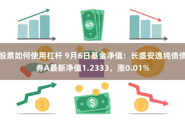 股票如何使用杠杆 9月6日基金净值：长盛安逸纯债债券A最新净值1.2333，涨0.01%