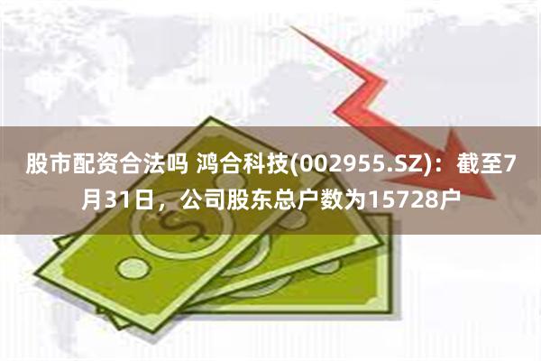 股市配资合法吗 鸿合科技(002955.SZ)：截至7月31日，公司股东总户数为15728户