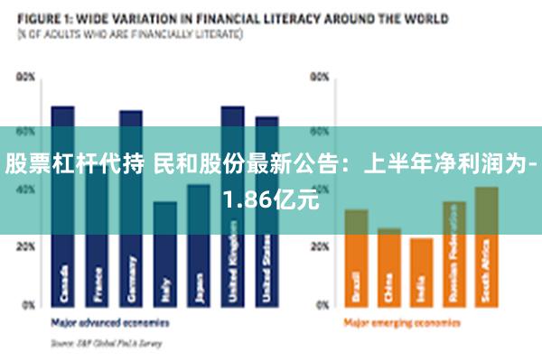 股票杠杆代持 民和股份最新公告：上半年净利润为-1.86亿元