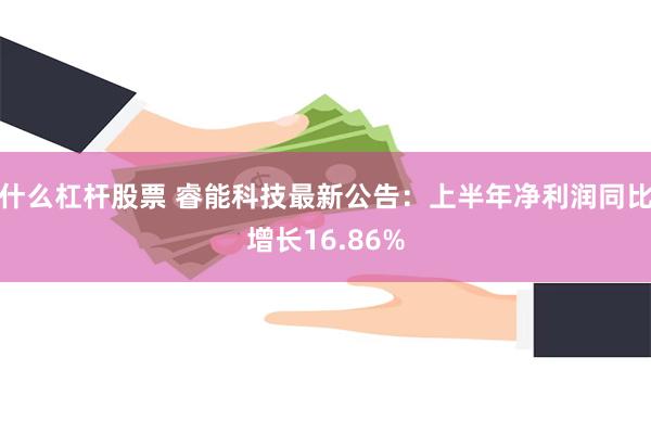 什么杠杆股票 睿能科技最新公告：上半年净利润同比增长16.86%