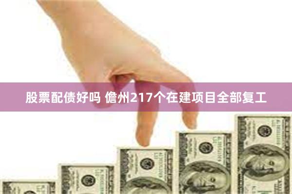 股票配债好吗 儋州217个在建项目全部复工