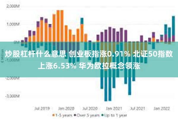 炒股杠杆什么意思 创业板指涨0.91% 北证50指数上涨6.53% 华为欧拉概念领涨