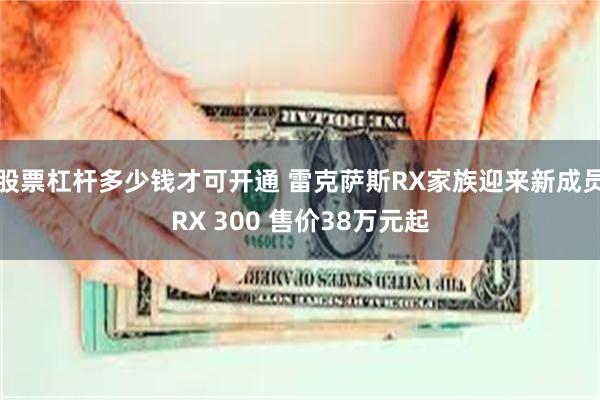 股票杠杆多少钱才可开通 雷克萨斯RX家族迎来新成员RX 300 售价38万元起