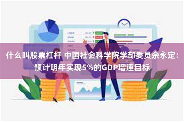 什么叫股票杠杆 中国社会科学院学部委员余永定：预计明年实现5%的GDP增速目标