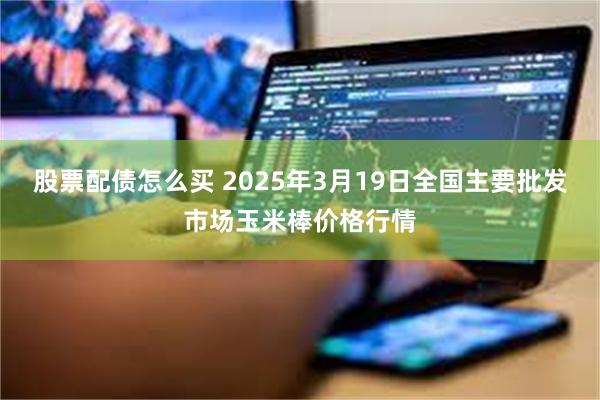 股票配债怎么买 2025年3月19日全国主要批发市场玉米棒价格行情